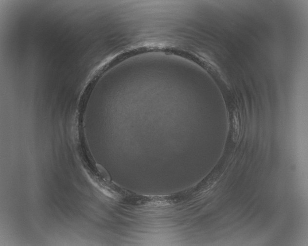 X0000056000492200508221327