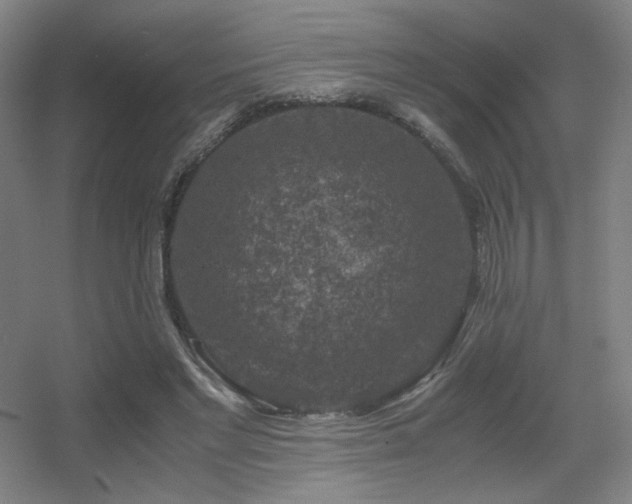 X0000056000493200508221327