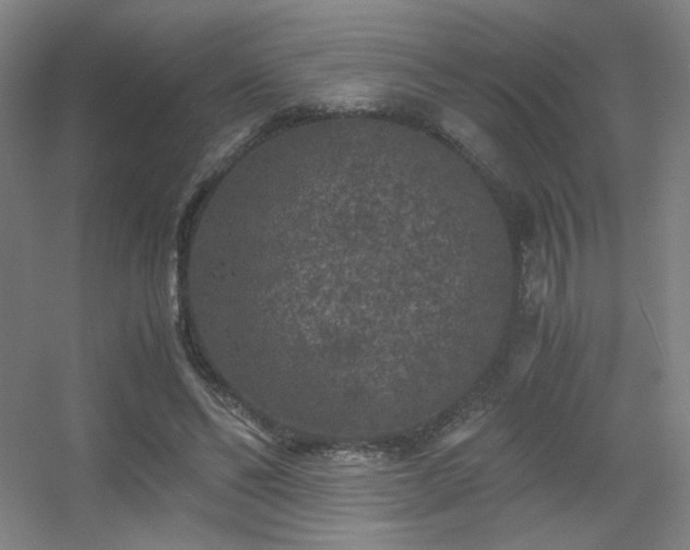 X0000056000494200508221327