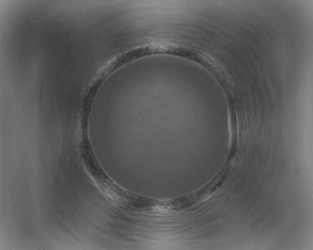 X0000056000496200508221327