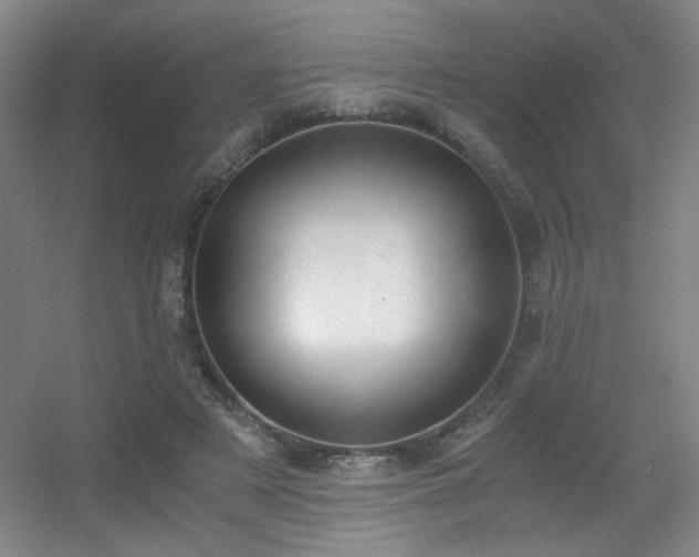 X0000056000497200508221326