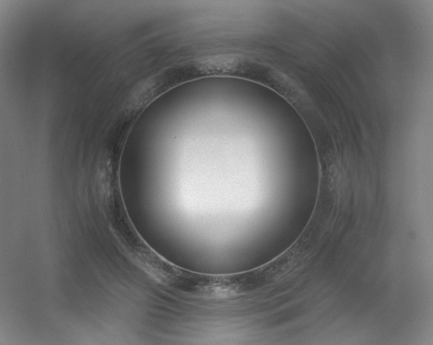 X0000056000498200508221326