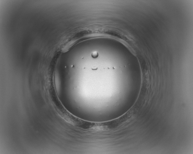 X0000056000499200508221326