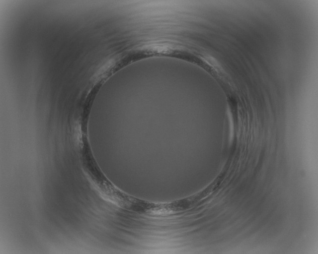 X0000056000500200508221326