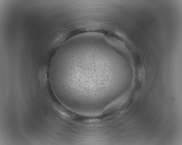 X0000056000501200508221326