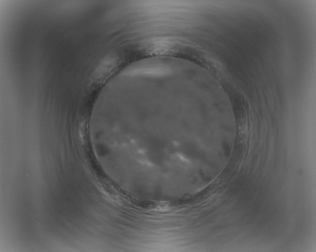 X0000056000503200508221326