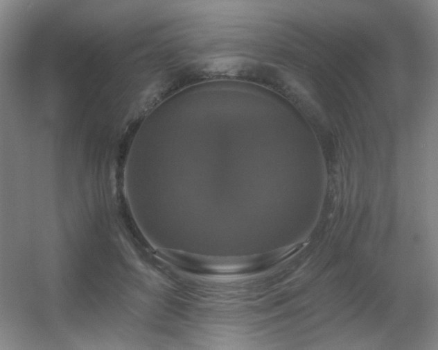 X0000056000504200508221326