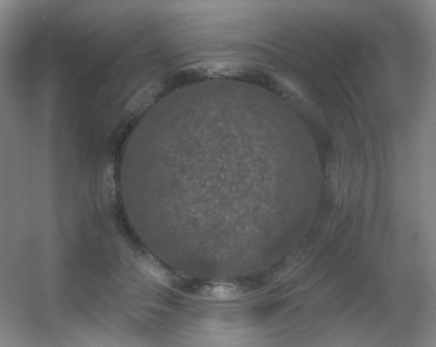 X0000056000506200508221326