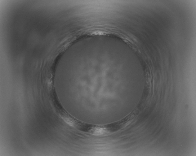 X0000056000507200508221326