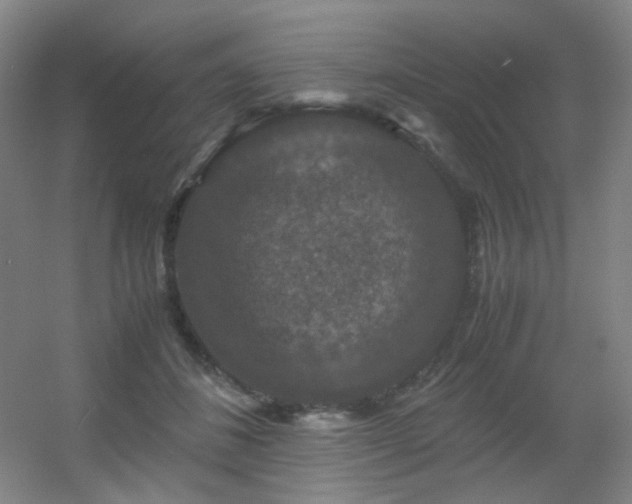 X0000056000508200508221326