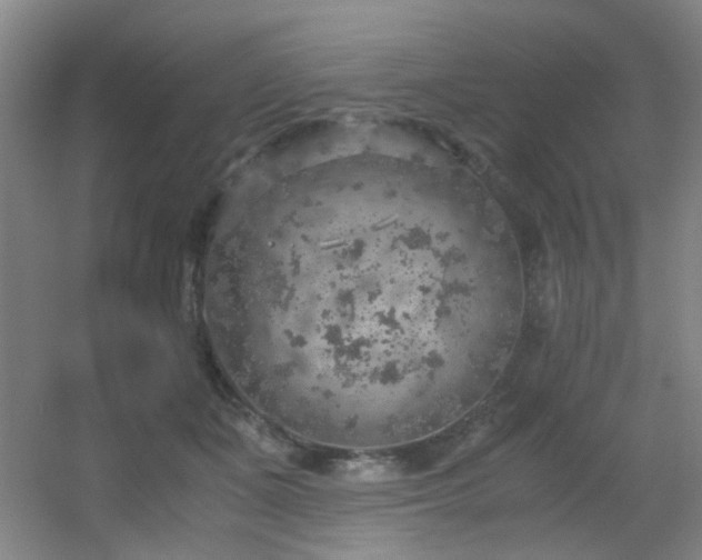 X0000056000511200508221326