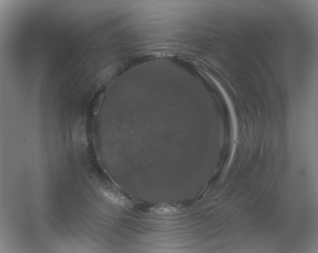 X0000056000512200508221326