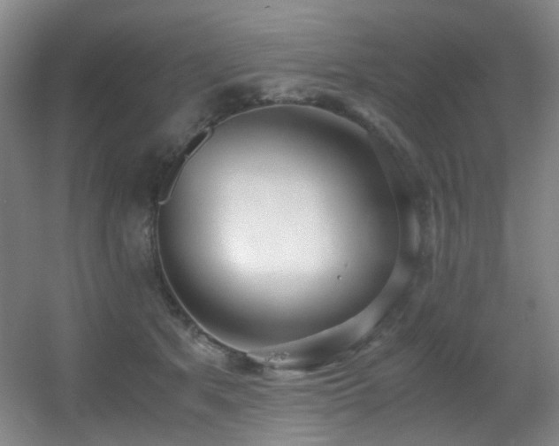 X0000056000513200508221326