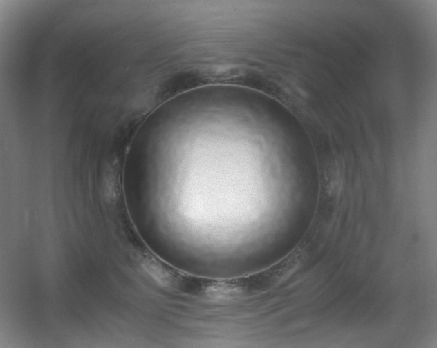 X0000056000515200508221326