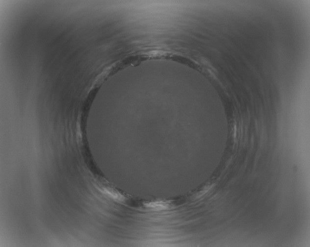 X0000056000516200508221326