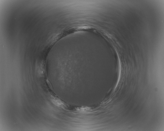 X0000056000517200508221326