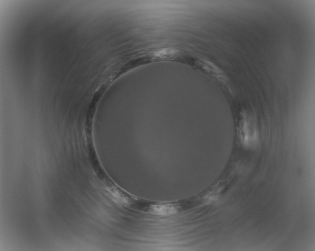 X0000056000520200508221326