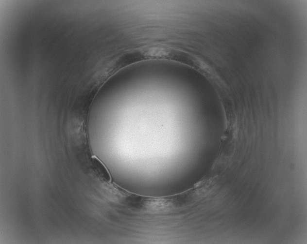 X0000056000521200508221326