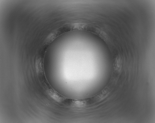 X0000056000522200508221326