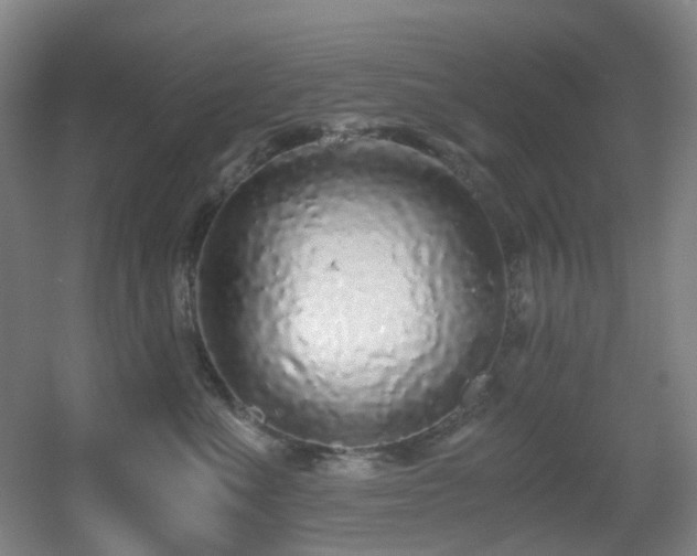 X0000056000523200508221326