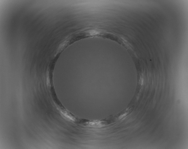 X0000056000524200508221326