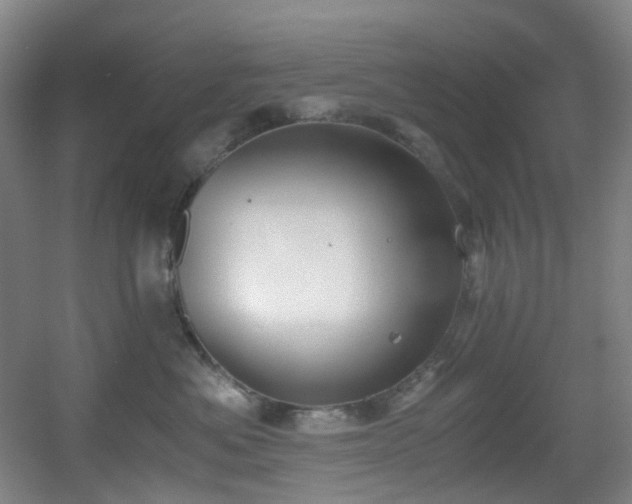 X0000056000525200508221326