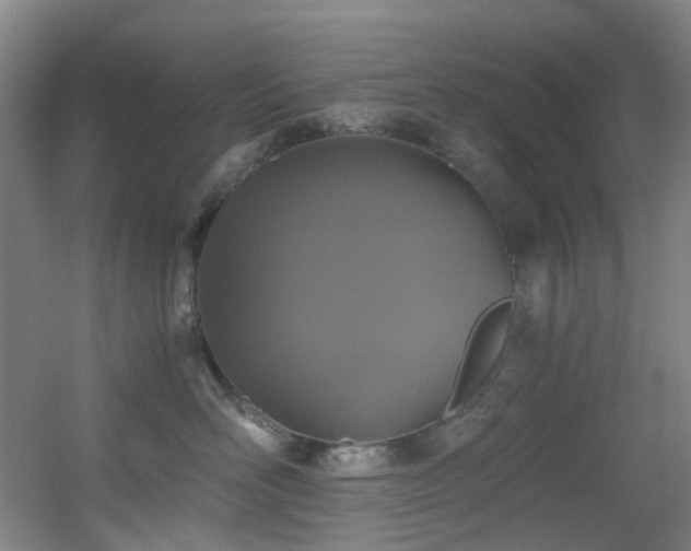 X0000056000526200508221326