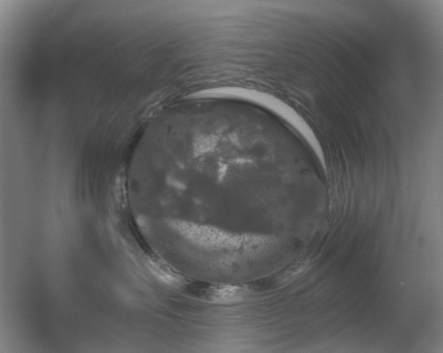 X0000056000527200508221326