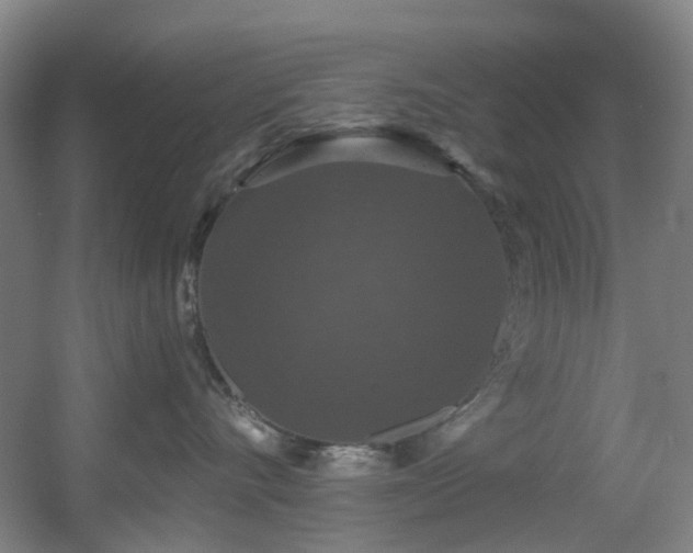 X0000056000528200508221326