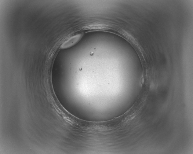 X0000056000529200508221325