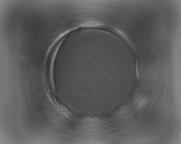 X0000056000531200508221325