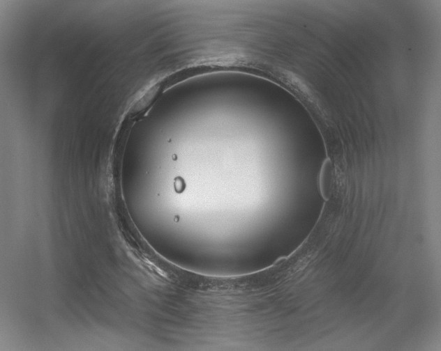 X0000056000532200508221325