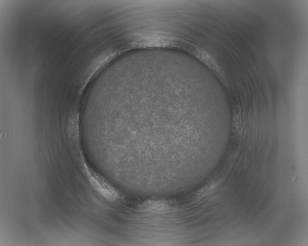 X0000056000534200508221325