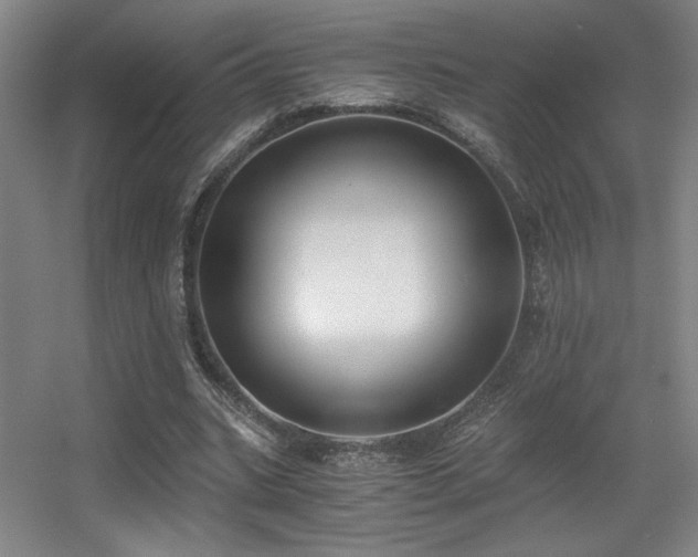 X0000056000535200508221325