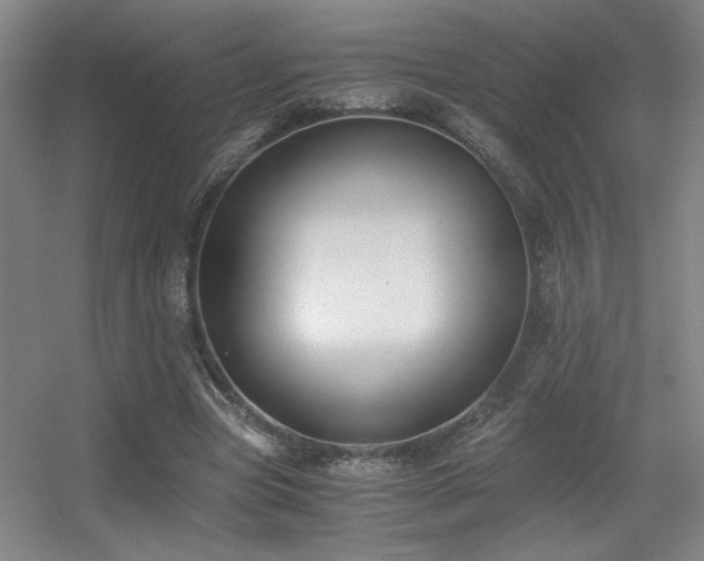 X0000056000537200508221325