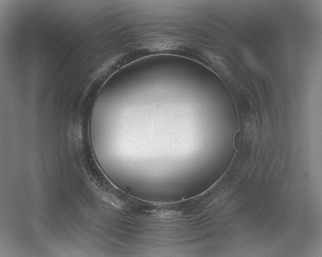 X0000056000539200508221325