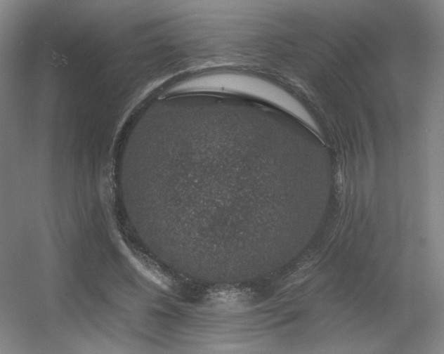 X0000056000540200508221325