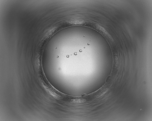 X0000056000541200508221325