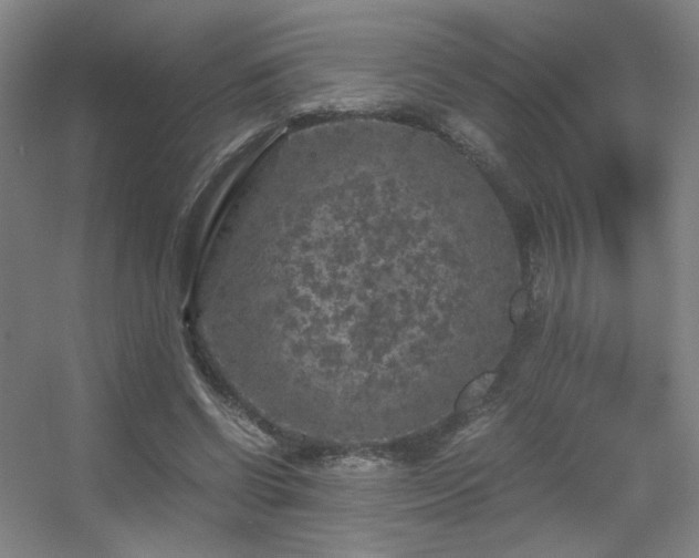 X0000056000542200508221325