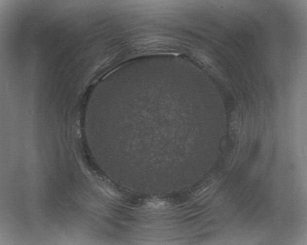 X0000056000547200508221325