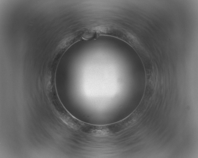 X0000056000548200508221325