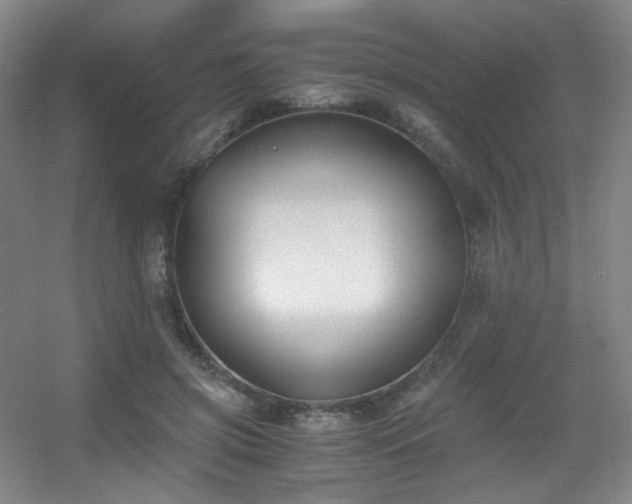 X0000056000549200508221325