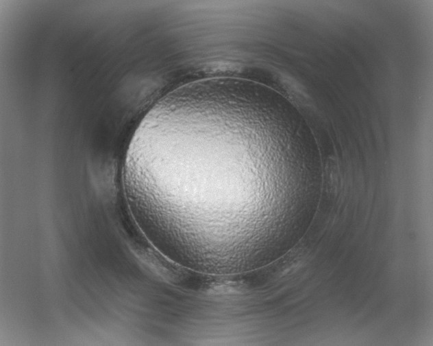 X0000056000550200508221325