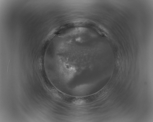 X0000056000551200508221326