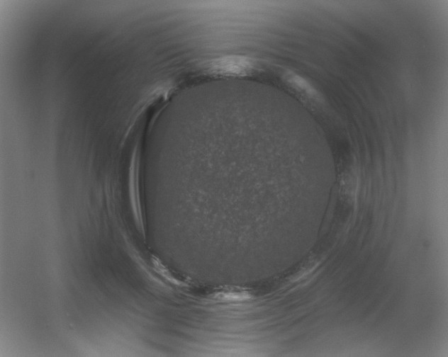 X0000056000552200508221326