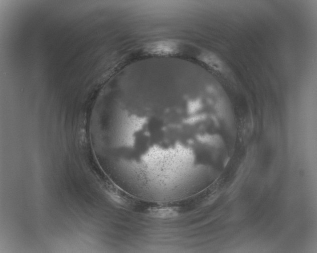 X0000056000553200508221326