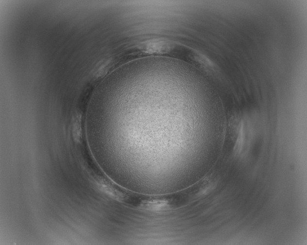 X0000056000554200508221326