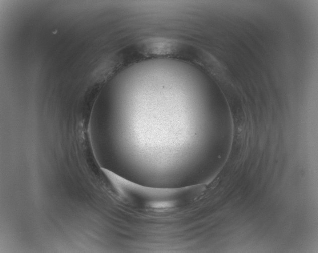 X0000056000555200508221326