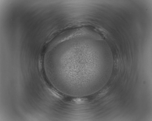 X0000056000558200508221326