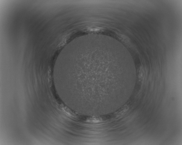 X0000056000559200508221326